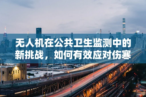 无人机在公共卫生监测中的新挑战，如何有效应对伤寒与副伤寒的空中侦察？