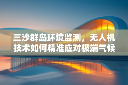 三沙群岛环境监测，无人机技术如何精准应对极端气候挑战？
