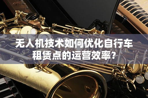 无人机技术如何优化自行车租赁点的运营效率？