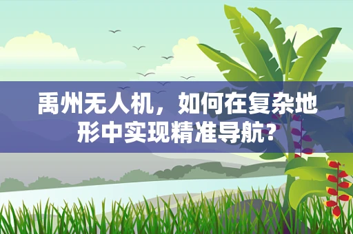 禹州无人机，如何在复杂地形中实现精准导航？