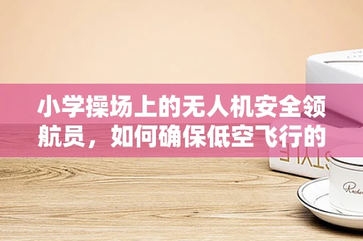 小学操场上的无人机安全领航员，如何确保低空飞行的安全性？