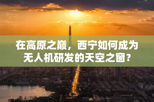 在高原之巅，西宁如何成为无人机研发的天空之窗？