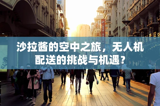 沙拉酱的空中之旅，无人机配送的挑战与机遇？