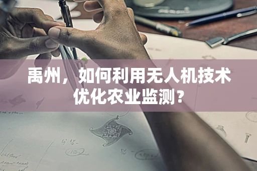 禹州，如何利用无人机技术优化农业监测？