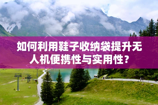 如何利用鞋子收纳袋提升无人机便携性与实用性？