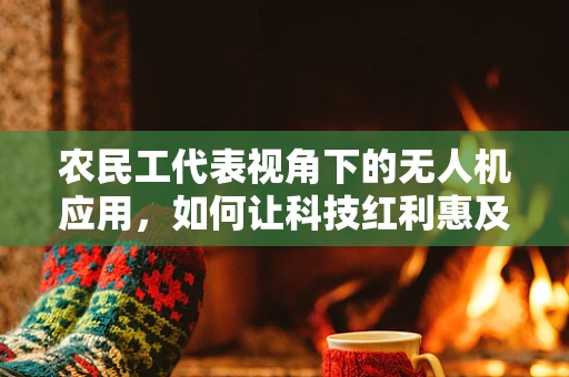 农民工代表视角下的无人机应用，如何让科技红利惠及最基层？