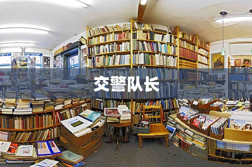 交警队长