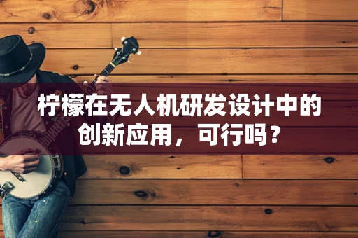 柠檬在无人机研发设计中的创新应用，可行吗？