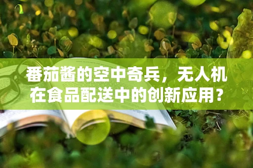 番茄酱的空中奇兵，无人机在食品配送中的创新应用？