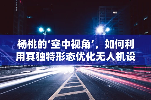 杨桃的‘空中视角’，如何利用其独特形态优化无人机设计？