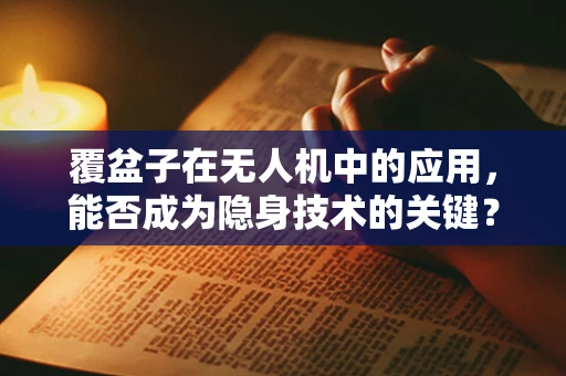 覆盆子在无人机中的应用，能否成为隐身技术的关键？