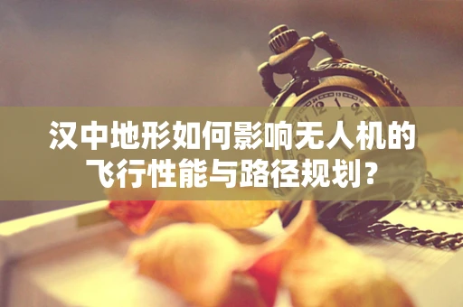 汉中地形如何影响无人机的飞行性能与路径规划？