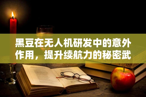 黑豆在无人机研发中的意外作用，提升续航力的秘密武器？