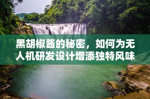 黑胡椒酱的秘密，如何为无人机研发设计增添独特风味？