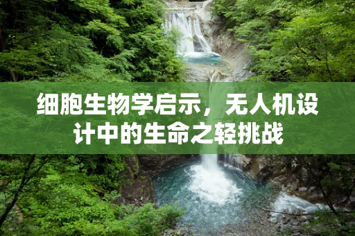 细胞生物学启示，无人机设计中的生命之轻挑战
