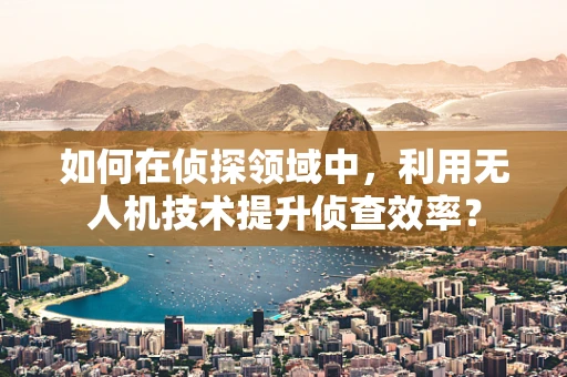 如何在侦探领域中，利用无人机技术提升侦查效率？