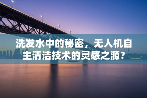 洗发水中的秘密，无人机自主清洁技术的灵感之源？