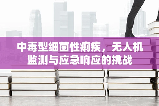 中毒型细菌性痢疾，无人机监测与应急响应的挑战