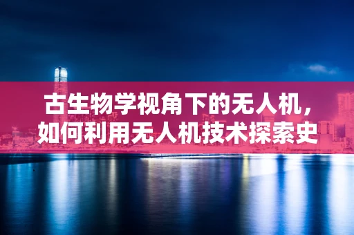古生物学视角下的无人机，如何利用无人机技术探索史前遗迹？