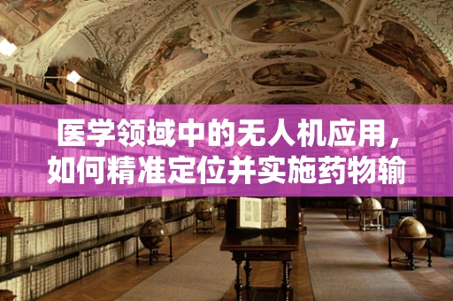 医学领域中的无人机应用，如何精准定位并实施药物输送？