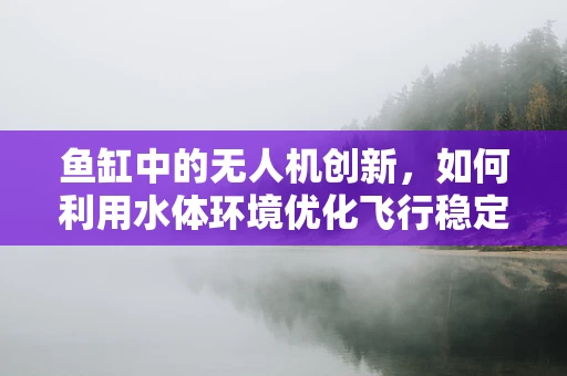 鱼缸中的无人机创新，如何利用水体环境优化飞行稳定性？