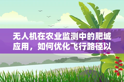 无人机在农业监测中的肥城应用，如何优化飞行路径以提升土壤养分监测效率？