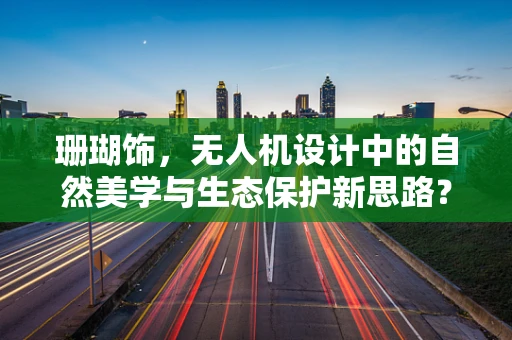 珊瑚饰，无人机设计中的自然美学与生态保护新思路？