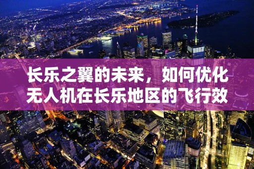 长乐之翼的未来，如何优化无人机在长乐地区的飞行效率与安全？