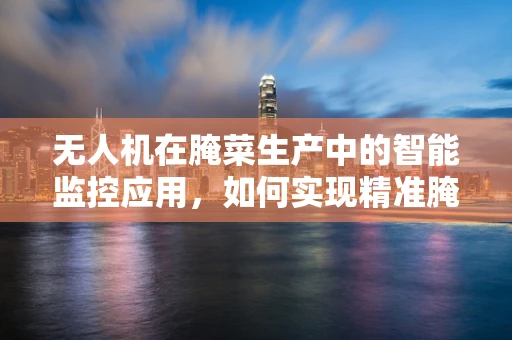 无人机在腌菜生产中的智能监控应用，如何实现精准腌制过程监控？