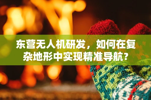 东营无人机研发，如何在复杂地形中实现精准导航？
