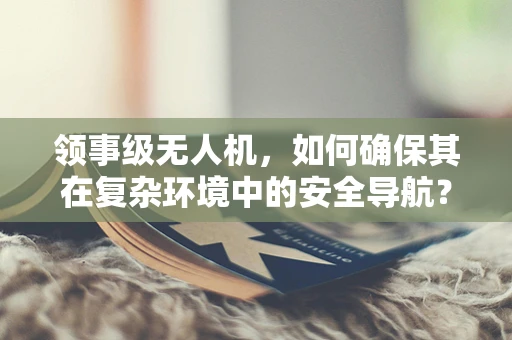 领事级无人机，如何确保其在复杂环境中的安全导航？