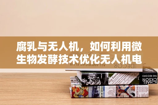 腐乳与无人机，如何利用微生物发酵技术优化无人机电池性能？