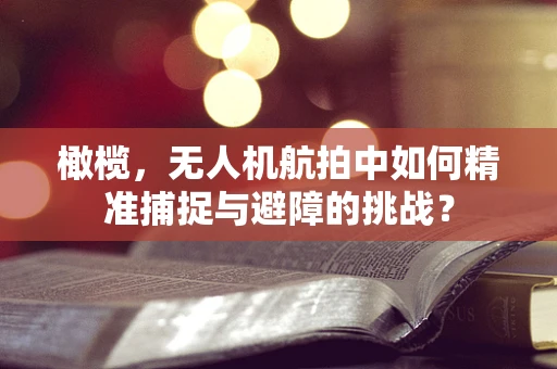 橄榄，无人机航拍中如何精准捕捉与避障的挑战？