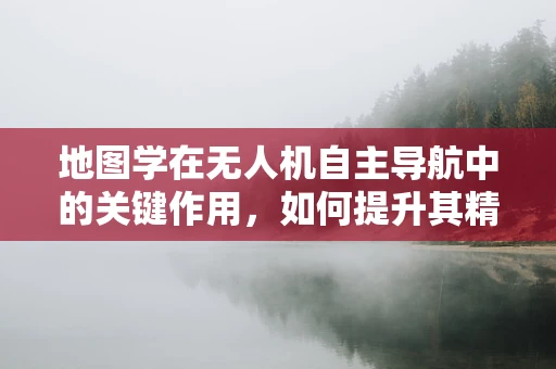 地图学在无人机自主导航中的关键作用，如何提升其精确性与实时性？
