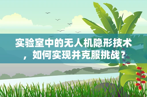 实验室中的无人机隐形技术，如何实现并克服挑战？