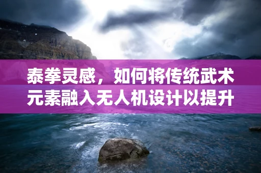 泰拳灵感，如何将传统武术元素融入无人机设计以提升操控性与稳定性？