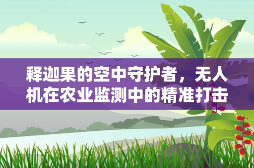 释迦果的空中守护者，无人机在农业监测中的精准打击策略？