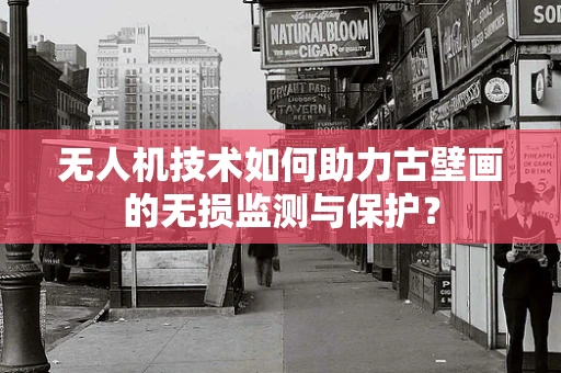 无人机技术如何助力古壁画的无损监测与保护？