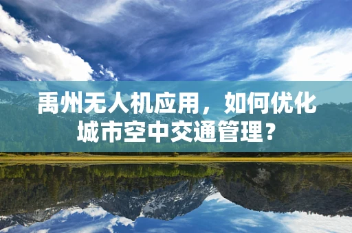 禹州无人机应用，如何优化城市空中交通管理？