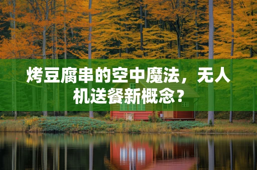 烤豆腐串的空中魔法，无人机送餐新概念？