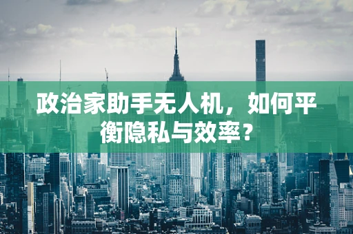 政治家助手无人机，如何平衡隐私与效率？