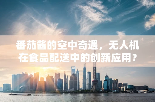 番茄酱的空中奇遇，无人机在食品配送中的创新应用？