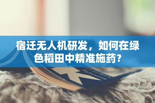 宿迁无人机研发，如何在绿色稻田中精准施药？