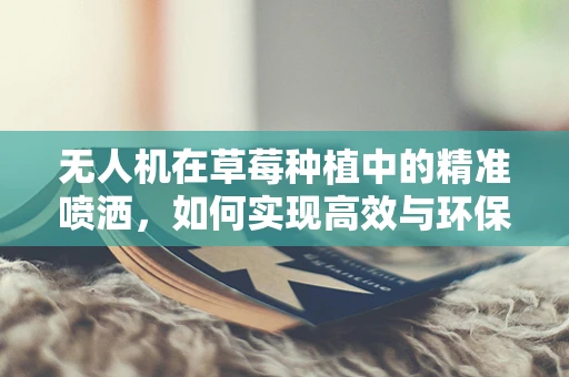 无人机在草莓种植中的精准喷洒，如何实现高效与环保的平衡？