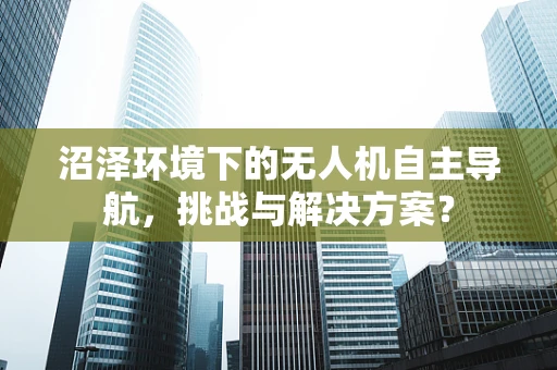 沼泽环境下的无人机自主导航，挑战与解决方案？