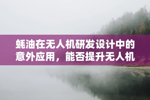 蚝油在无人机研发设计中的意外应用，能否提升无人机航时？