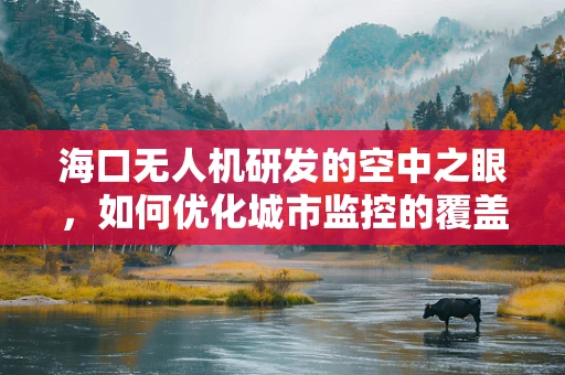 海口无人机研发的空中之眼，如何优化城市监控的覆盖与效率？