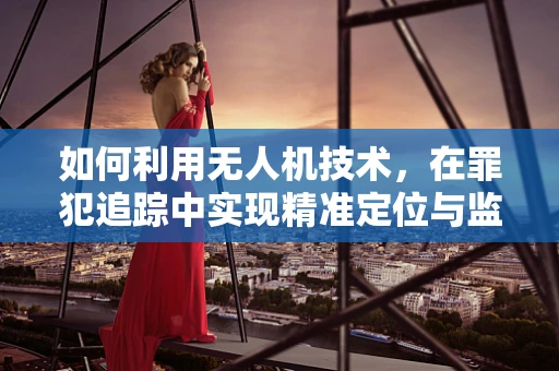 如何利用无人机技术，在罪犯追踪中实现精准定位与监控？