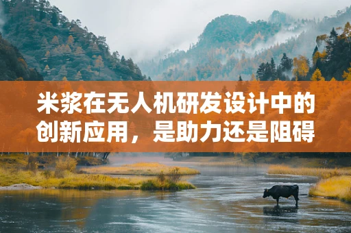 米浆在无人机研发设计中的创新应用，是助力还是阻碍？