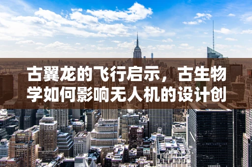 古翼龙的飞行启示，古生物学如何影响无人机的设计创新？